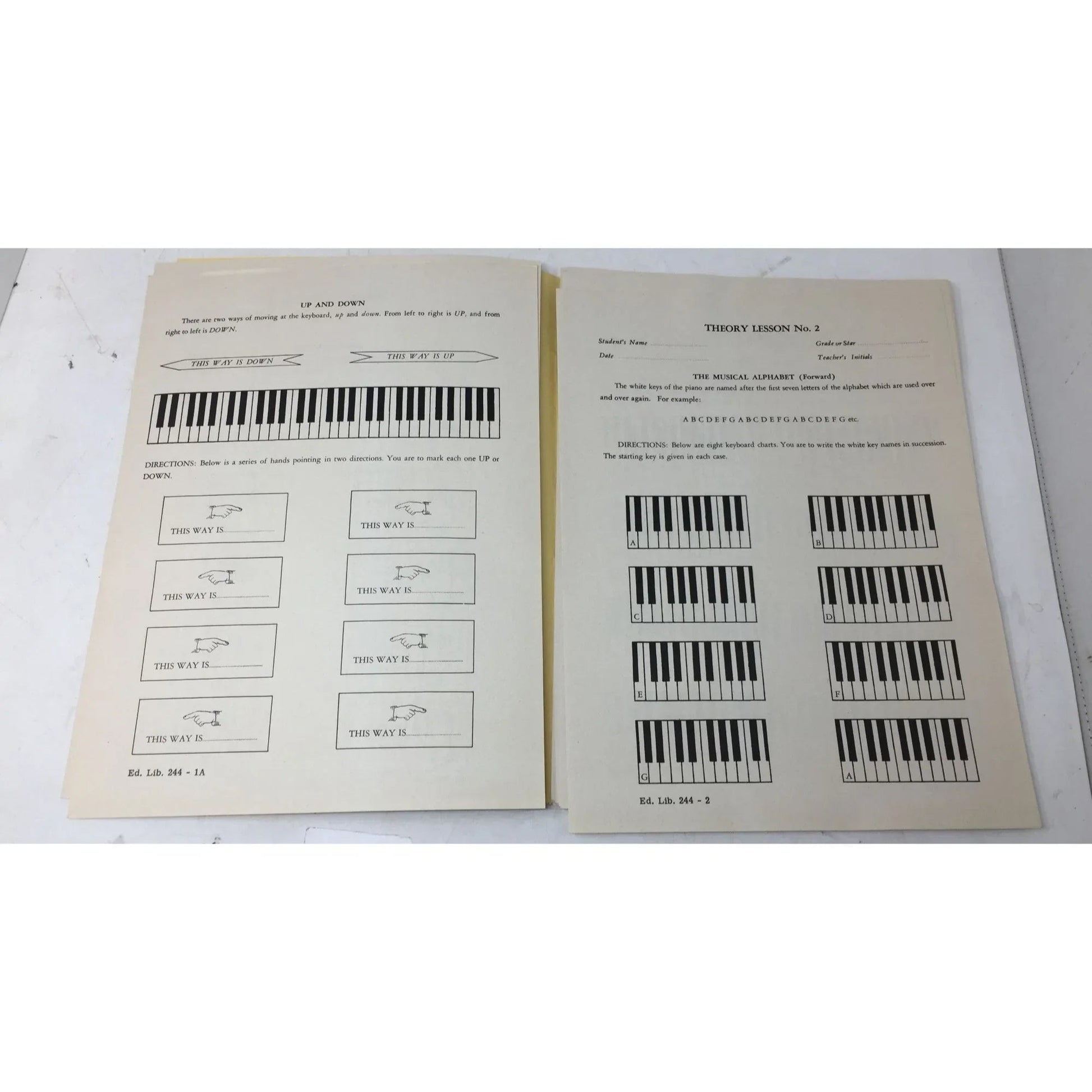 John W Schaum Theory Lessons in loose leaf form - A+ Stuff - Books - A+ Stuff