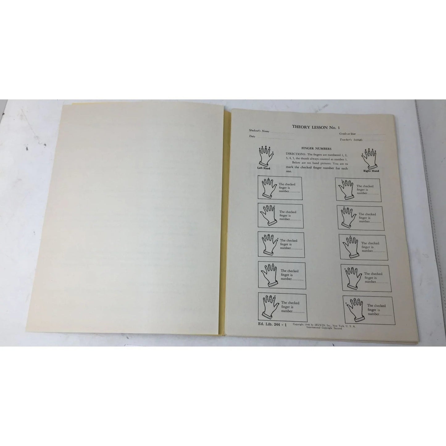 John W Schaum Theory Lessons in loose leaf form - A+ Stuff - Books - A+ Stuff