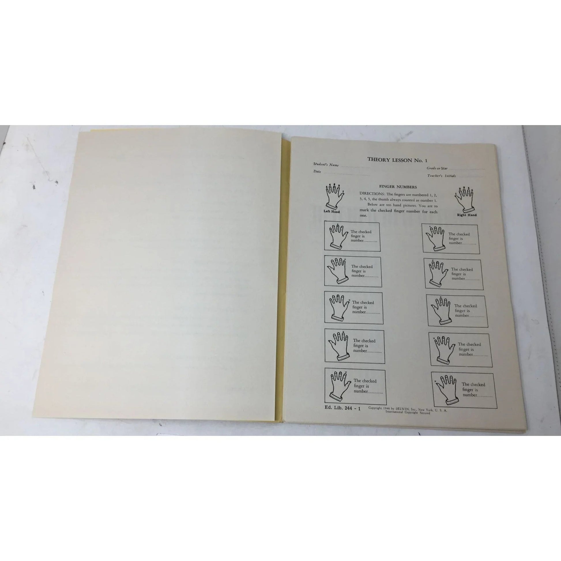 John W Schaum Theory Lessons in loose leaf form - A+ Stuff - Books - A+ Stuff