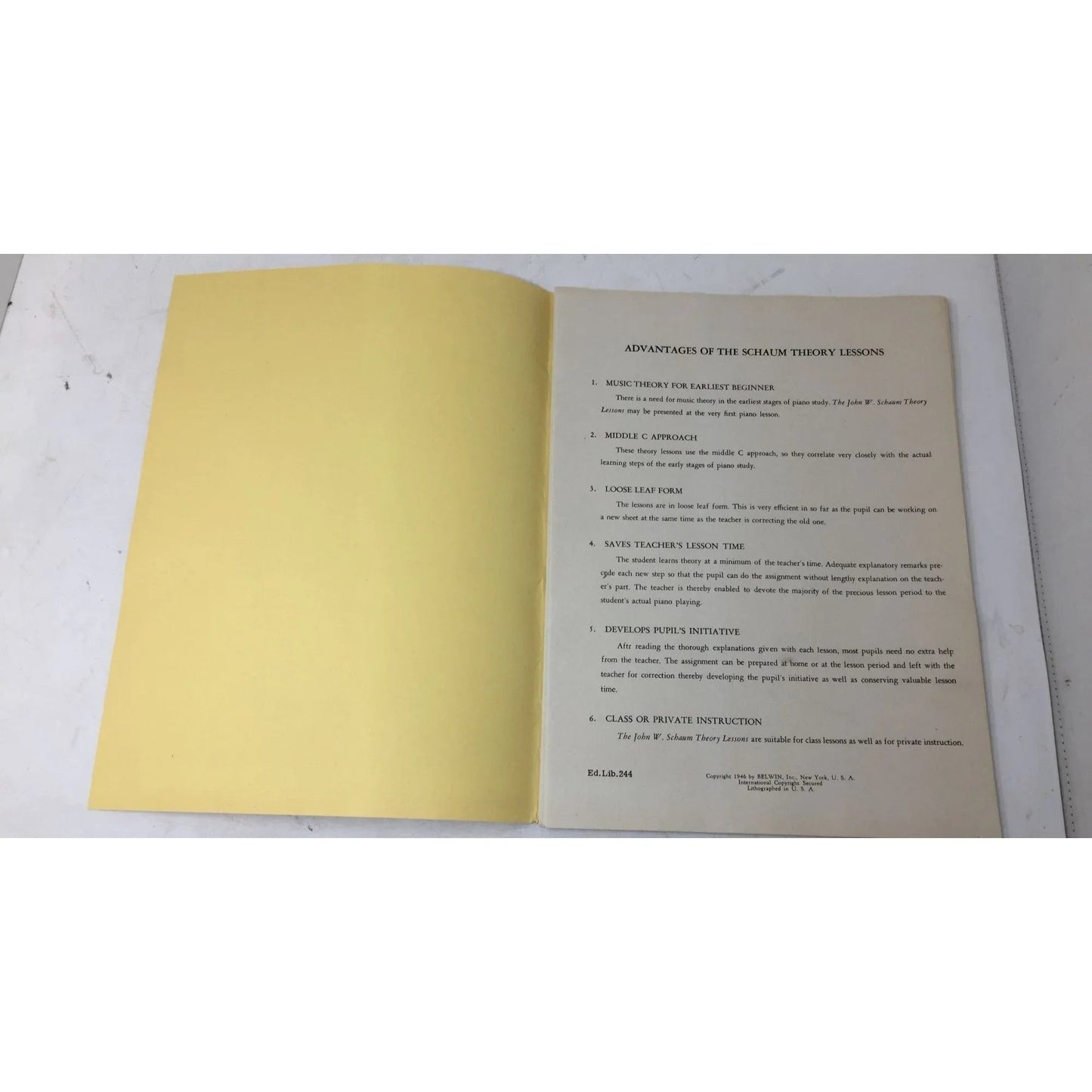 John W Schaum Theory Lessons in loose leaf form - A+ Stuff - Books - A+ Stuff