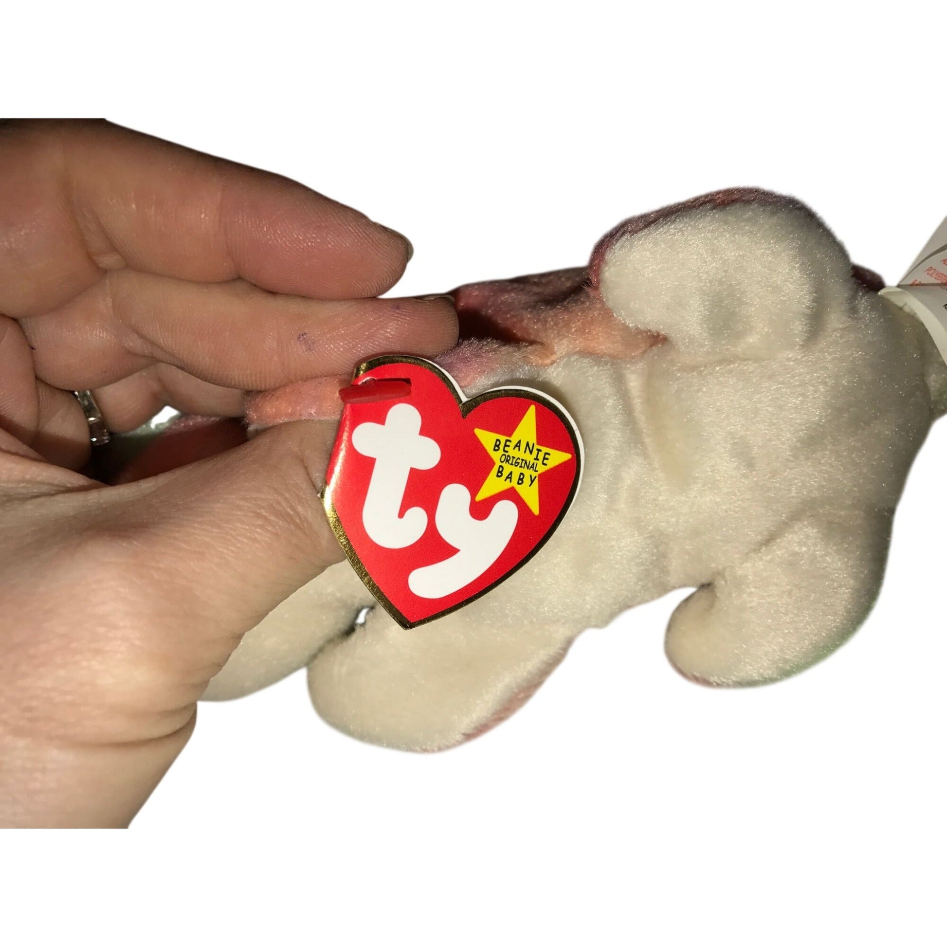1997 Iggy the Iguana Beanie Baby TY Beanie Baby  A+ Stuff Plush Toys / Stuffed Animals