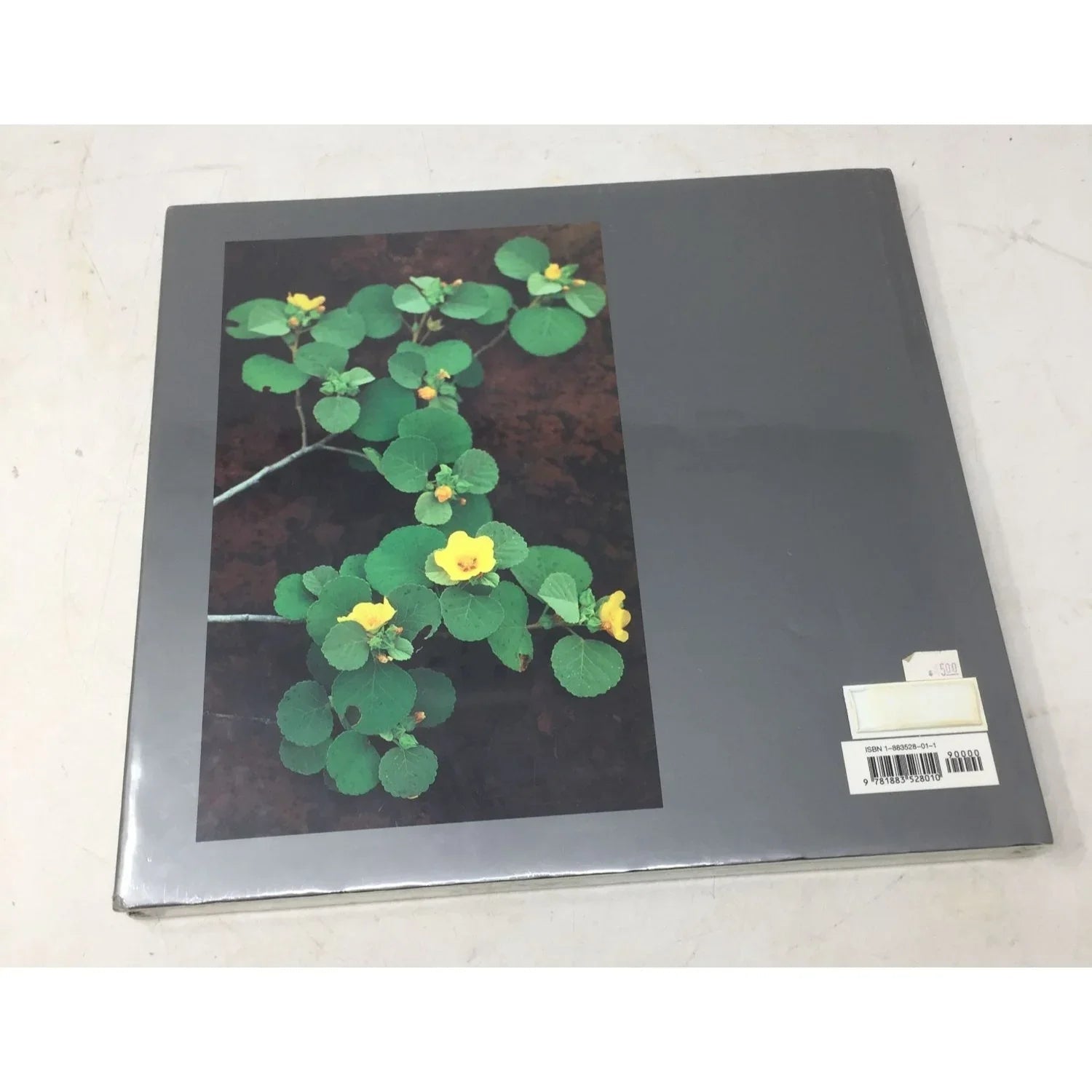 ''Kahoʻolawe: Nā Leo o Kanaloa'' hardcover/hardback book (NEW) - A+ Stuff - Books - A+ Stuff