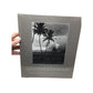 ''Kalaupapa: A Portrait'' Book - NWT - A+ Stuff - Books - A+ Stuff