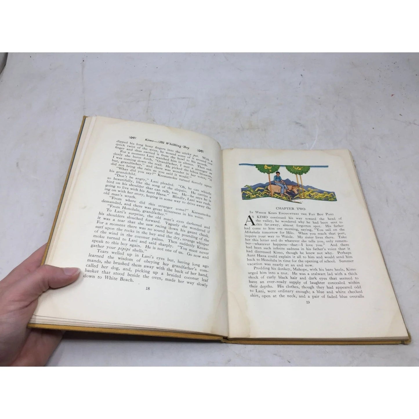 Kimo the Whistling Boy: A Story of Hawaii by Alice Cooper Bailey - A+ Stuff - Books - A+ Stuff