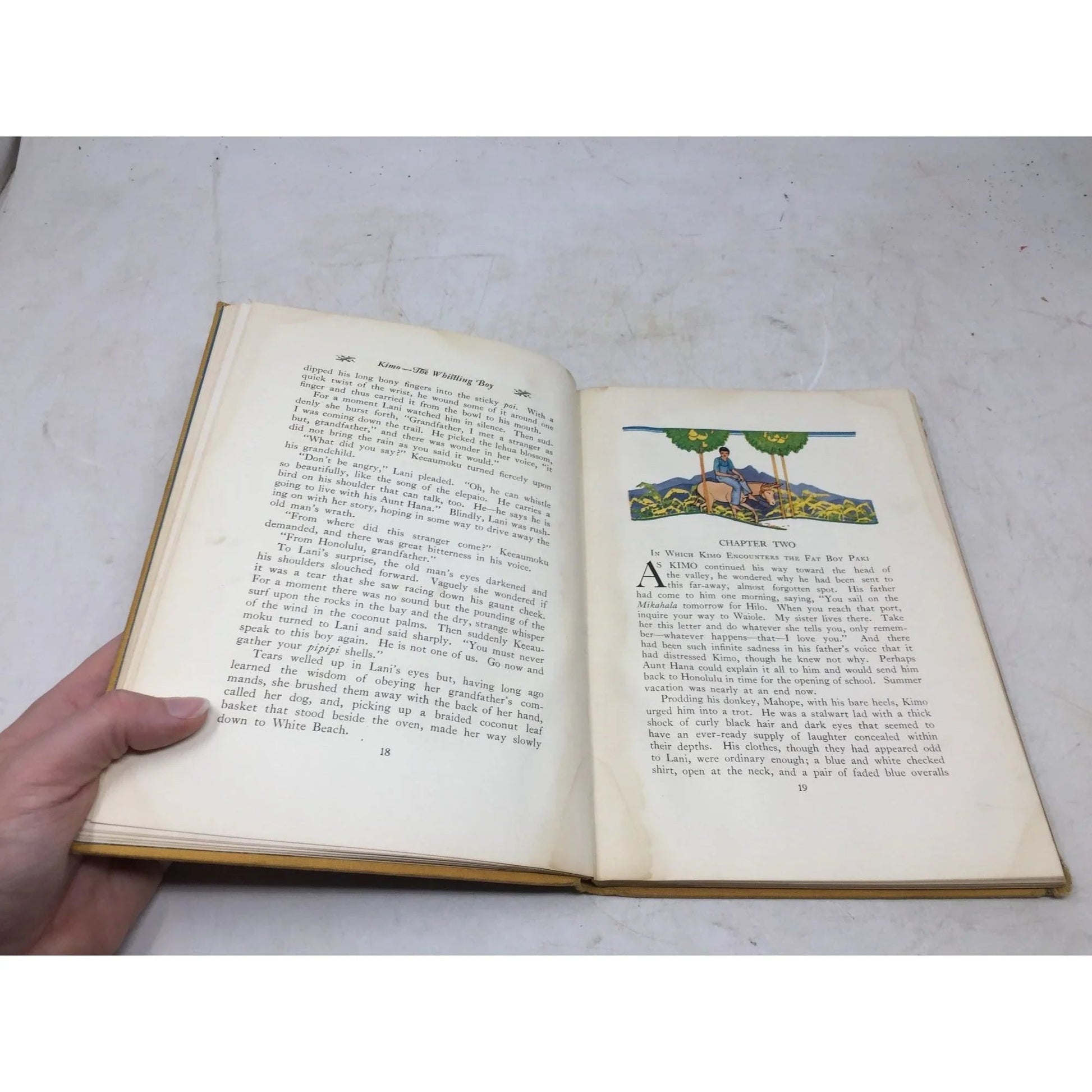 Kimo the Whistling Boy: A Story of Hawaii by Alice Cooper Bailey - A+ Stuff - Books - A+ Stuff