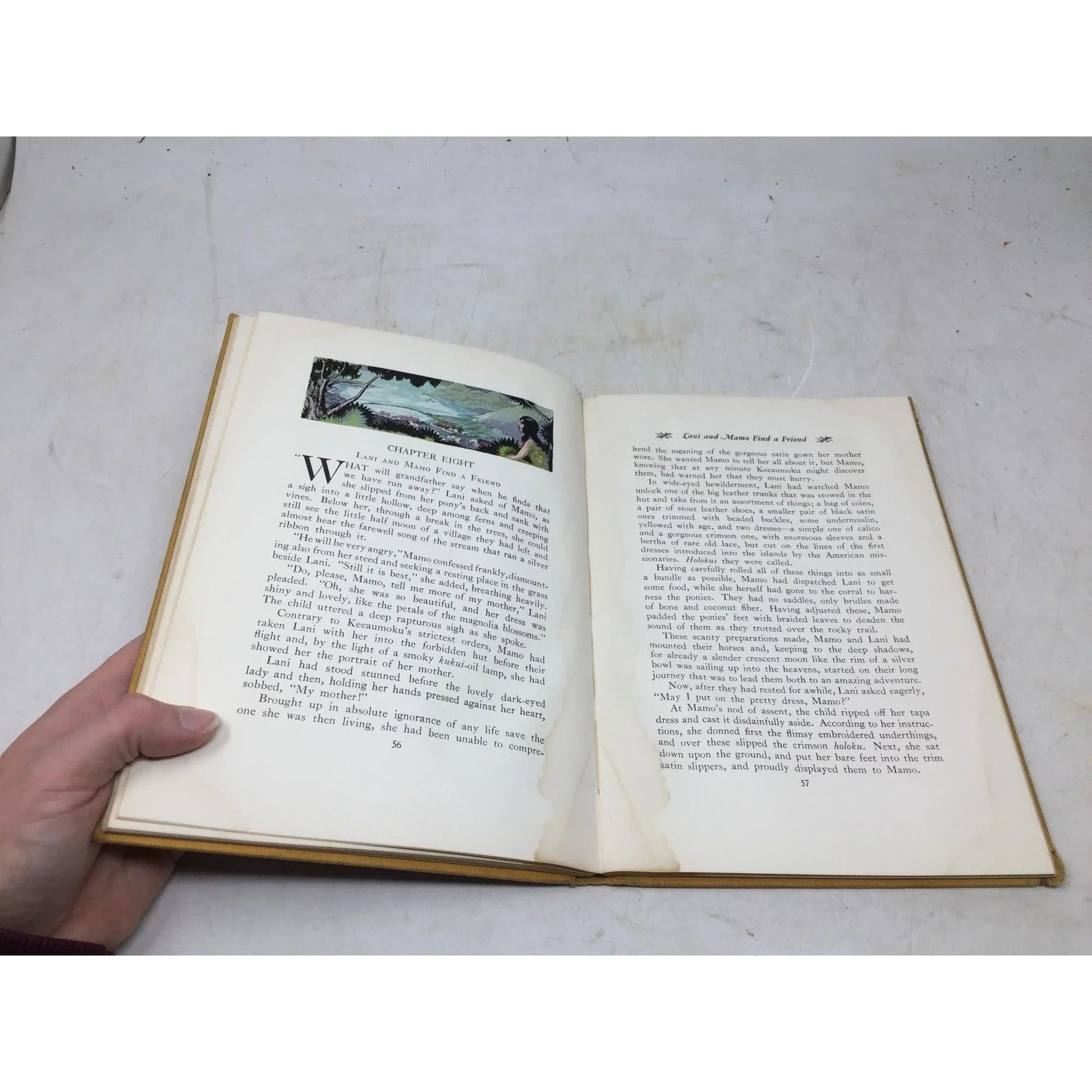 Kimo the Whistling Boy: A Story of Hawaii by Alice Cooper Bailey - A+ Stuff - Books - A+ Stuff