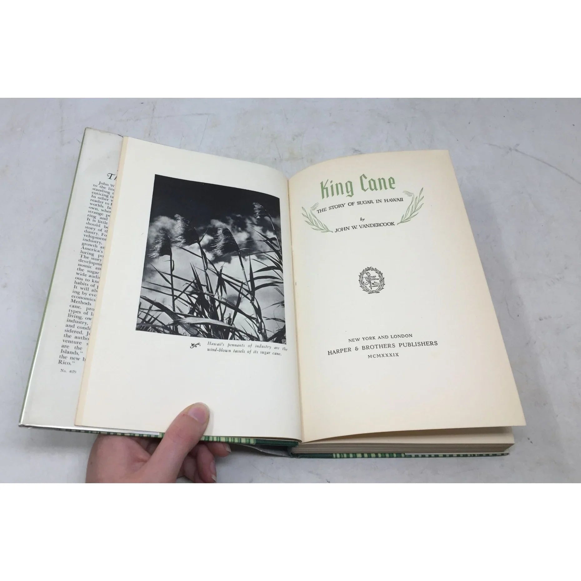 King Cane: The Story of Sugar - unbranded - Vintage Books - A+ Stuff