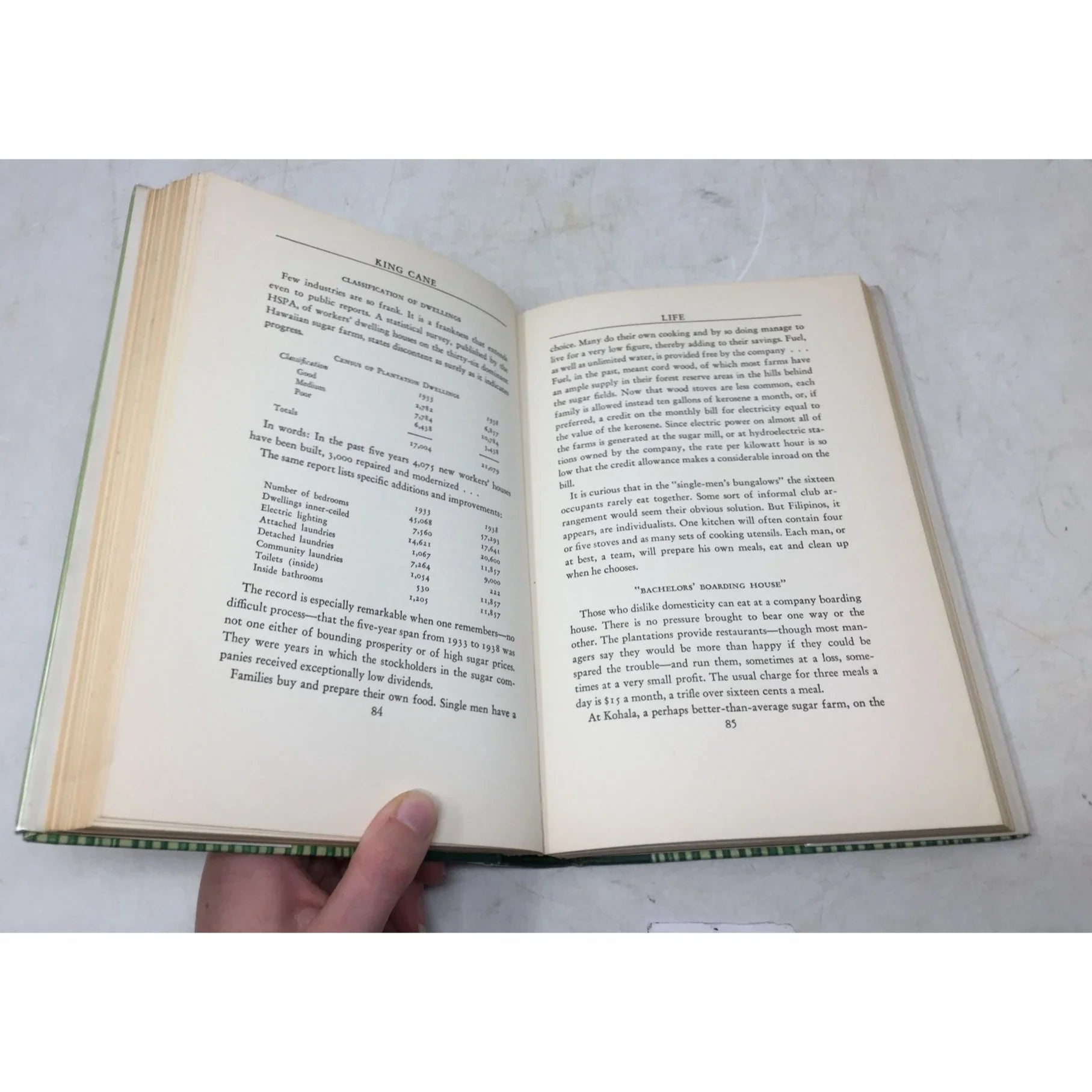 King Cane: The Story of Sugar - unbranded - Vintage Books - A+ Stuff