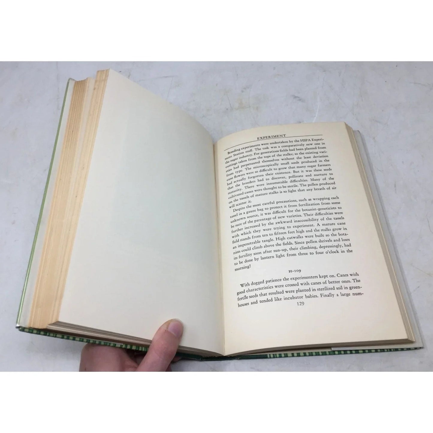 King Cane: The Story of Sugar - unbranded - Vintage Books - A+ Stuff