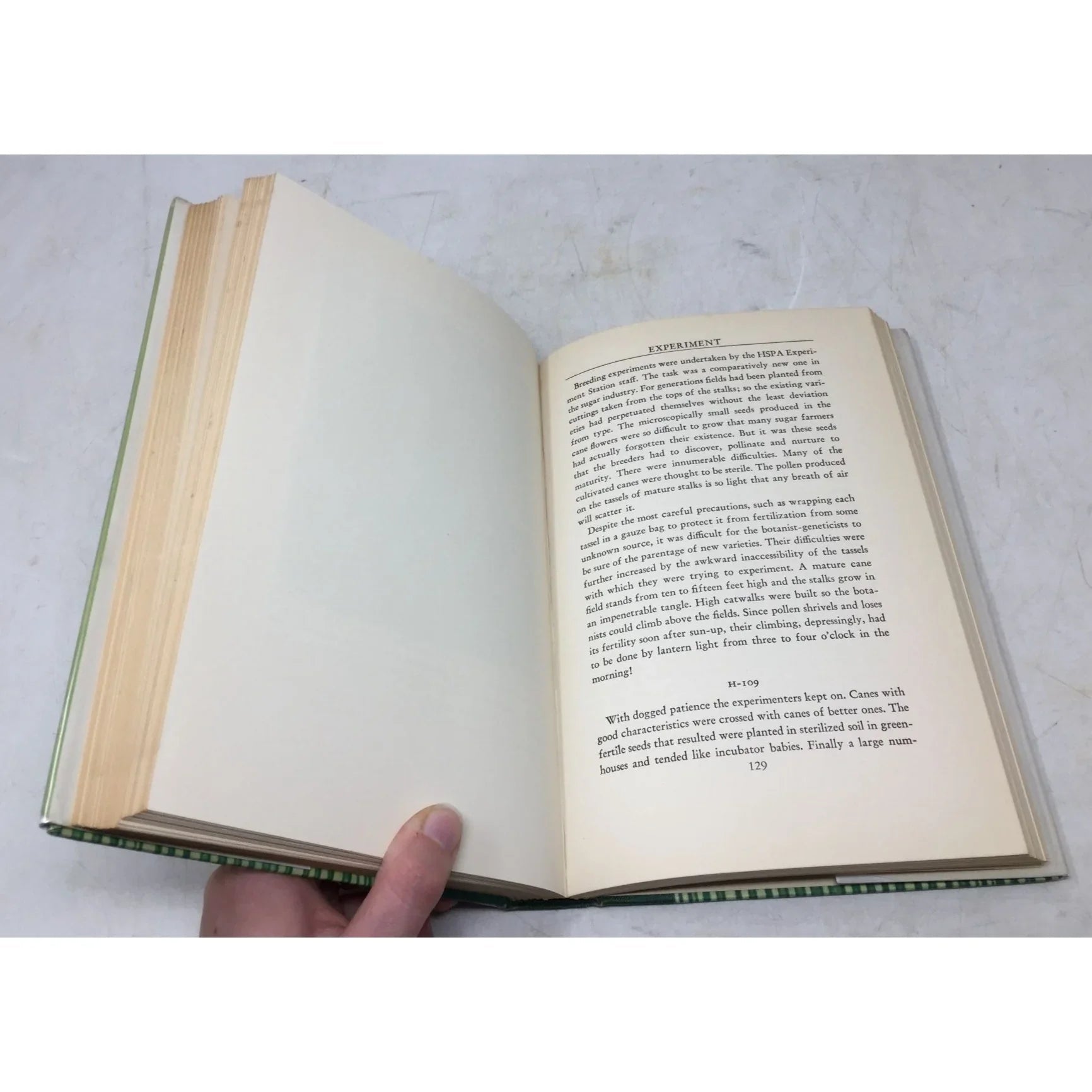 King Cane: The Story of Sugar - unbranded - Vintage Books - A+ Stuff