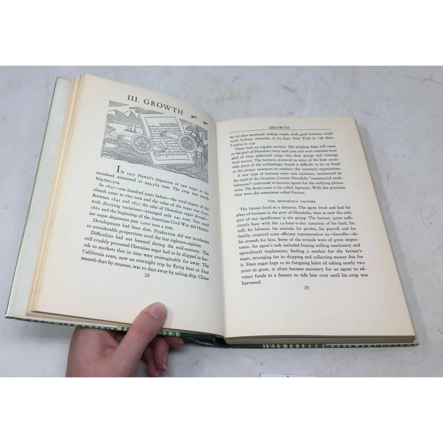 King Cane: The Story of Sugar - unbranded - Vintage Books - A+ Stuff