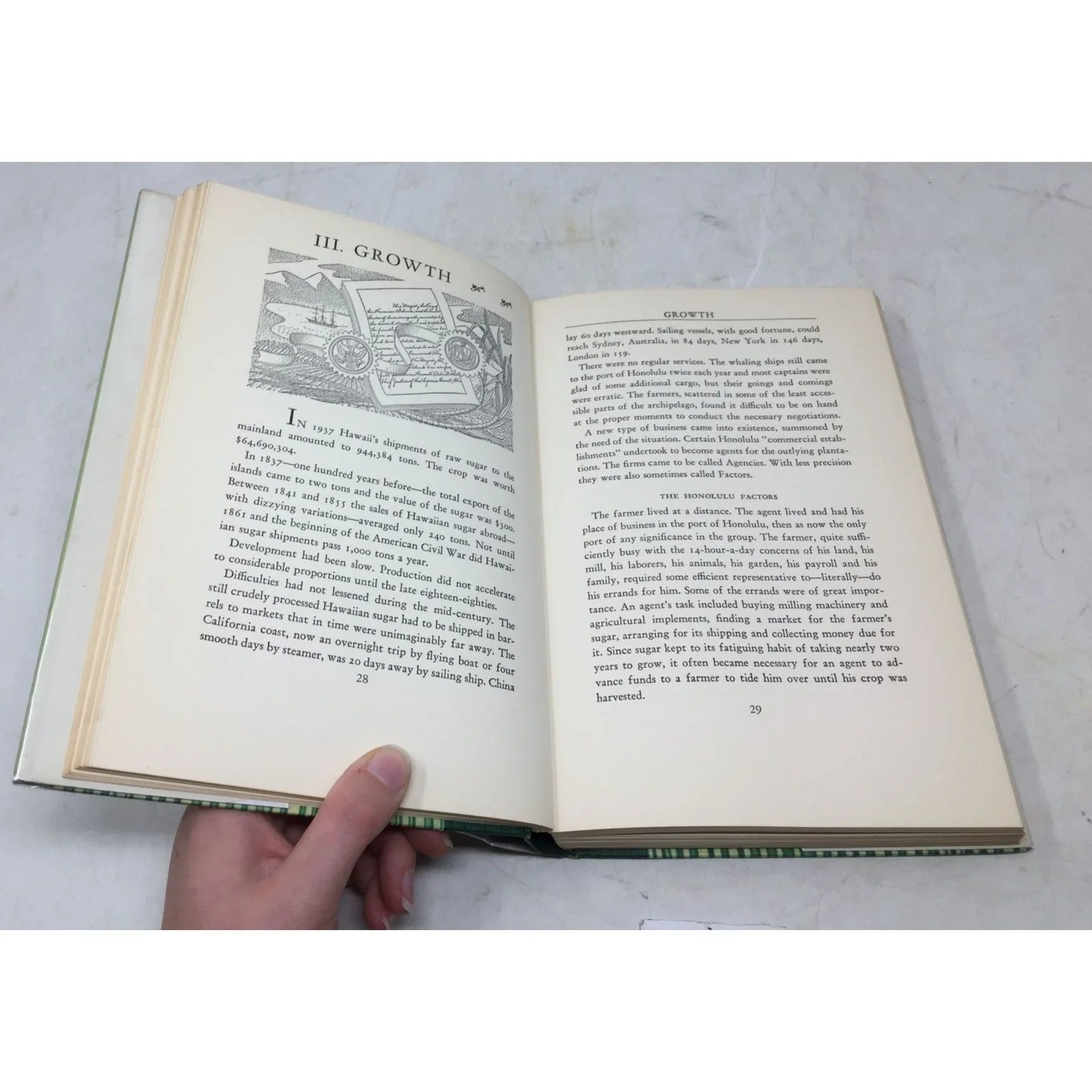 King Cane: The Story of Sugar - unbranded - Vintage Books - A+ Stuff
