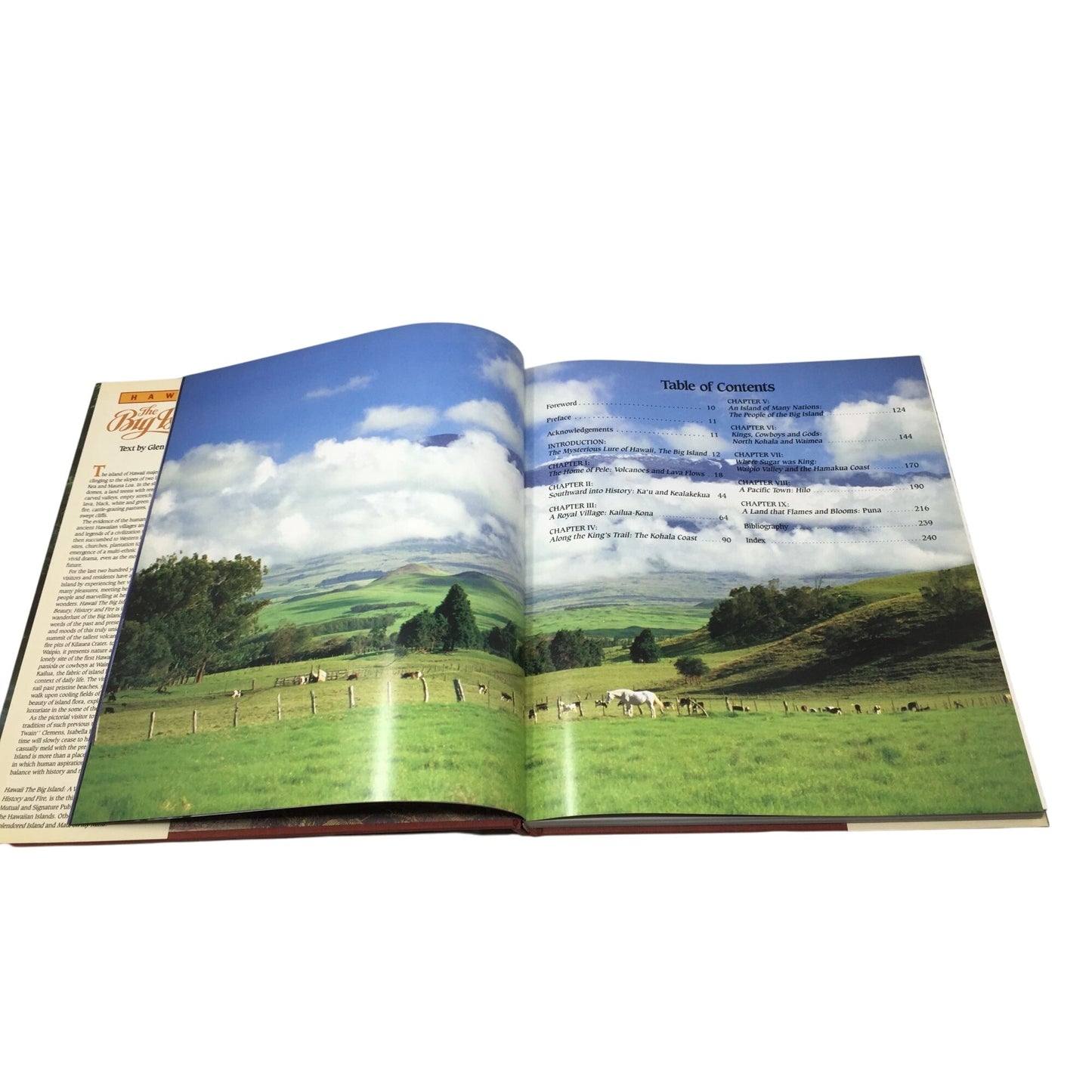 "Hawaii: The Big Island: A Visit to a Realm of Beauty History and Fire" book