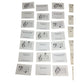 LIVE - A - KEY - A - DAY - CARDS/Music Note Learning Flash Cards (40 cards) - A+ Stuff - Collectibles - A+ Stuff
