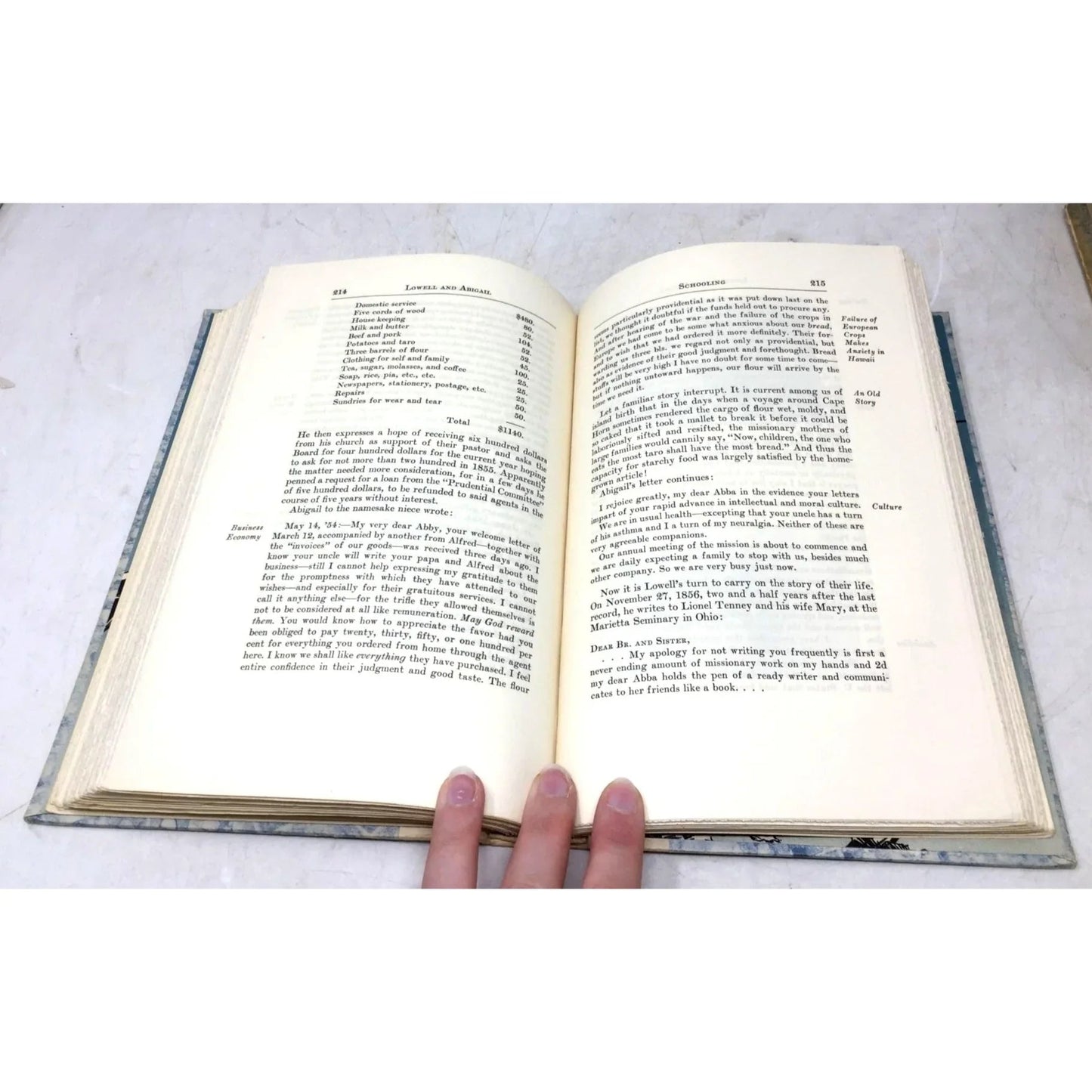 'Lowell and Abigail: A Realistic Idyl' By; Mary Dillingham Frear - Mary Dillingham Frear - Vintage Books - A+ Stuff