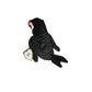 1997 Puffer the Puffin Beanie Baby TY Beanie Baby  A+ Stuff Plush Toys / Stuffed Animals