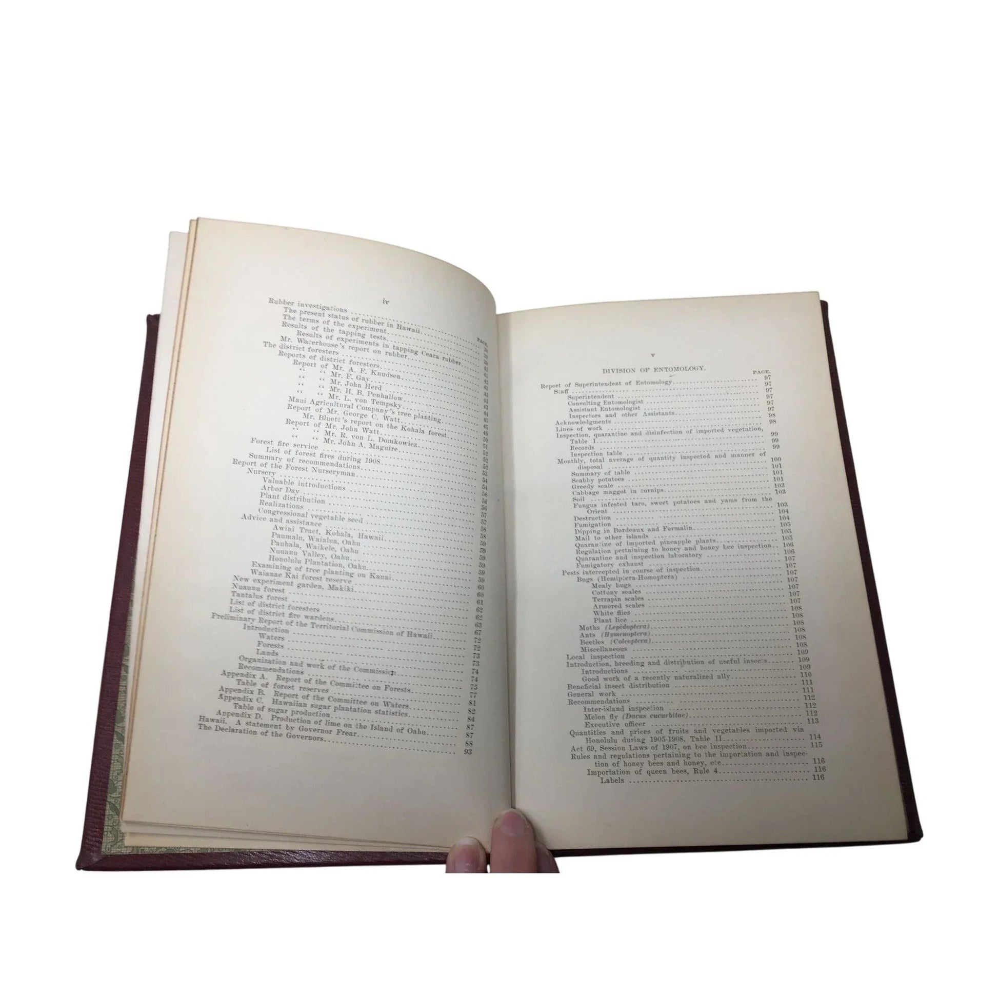 Marston Campbell - Fifth Report Board Agric & For 1908 Antique Hardcover Book - A+ Stuff - Books - A+ Stuff