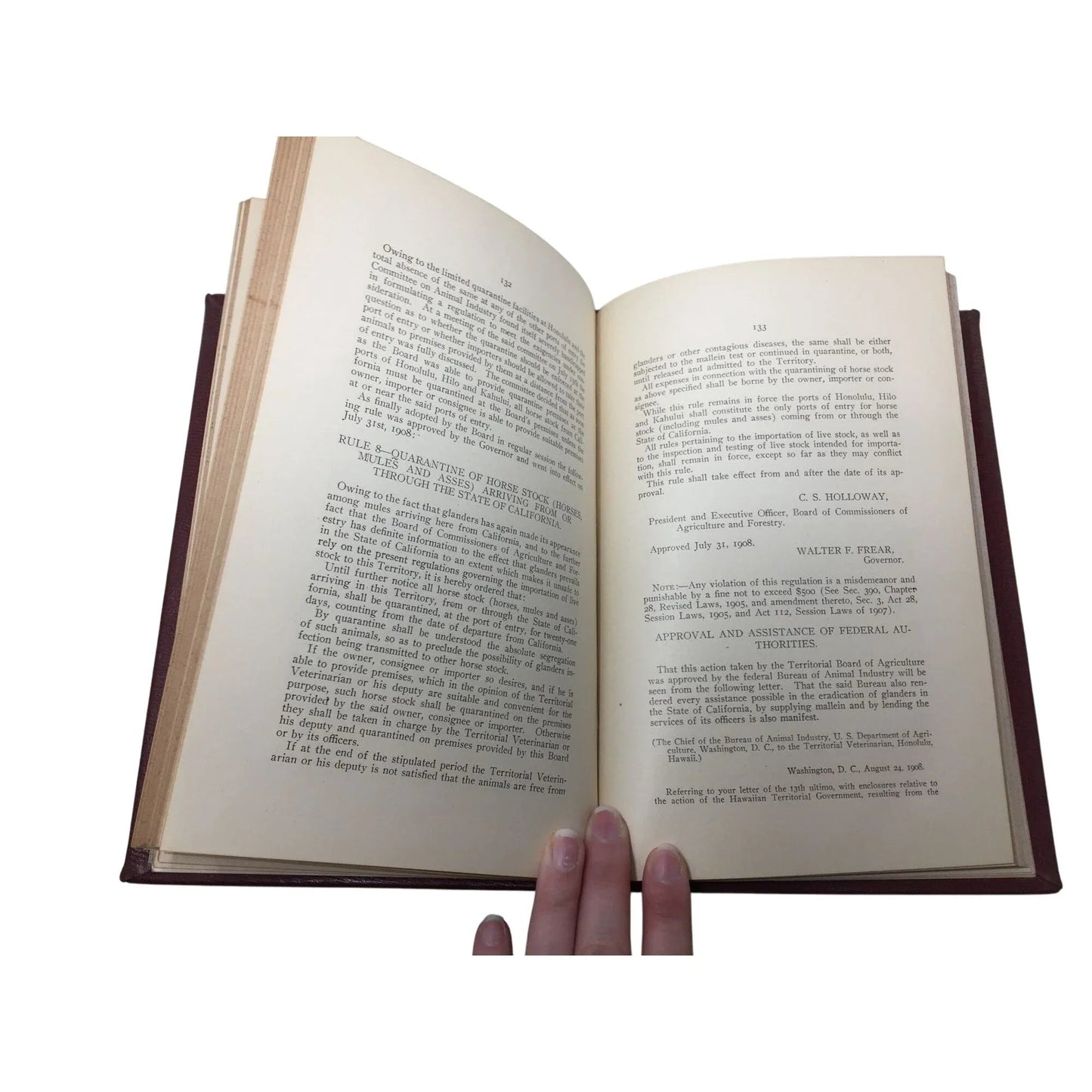 Marston Campbell - Fifth Report Board Agric & For 1908 Antique Hardcover Book - A+ Stuff - Books - A+ Stuff
