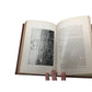 Marston Campbell - Fifth Report Board Agric & For 1908 Antique Hardcover Book - A+ Stuff - Books - A+ Stuff
