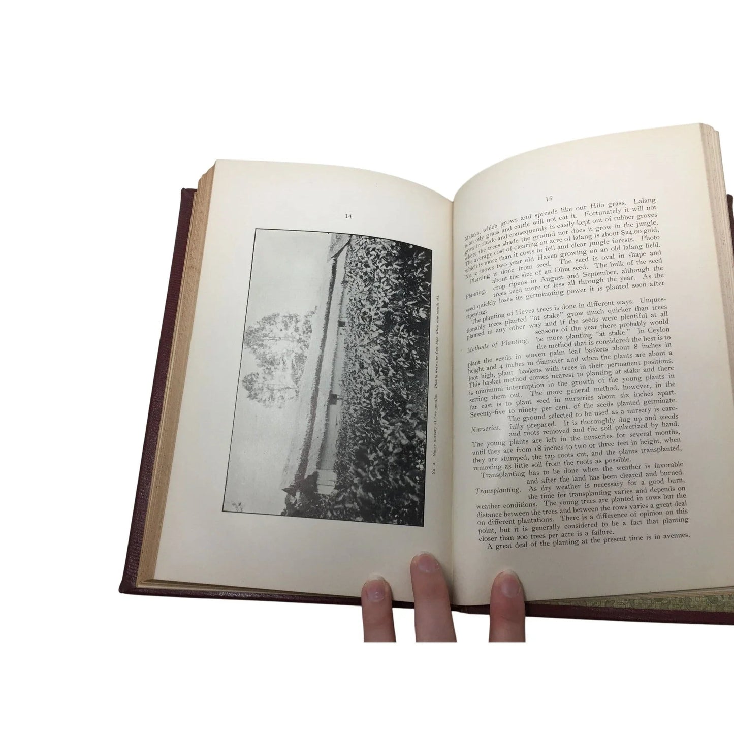 Marston Campbell - Fifth Report Board Agric & For 1908 Antique Hardcover Book - A+ Stuff - Books - A+ Stuff