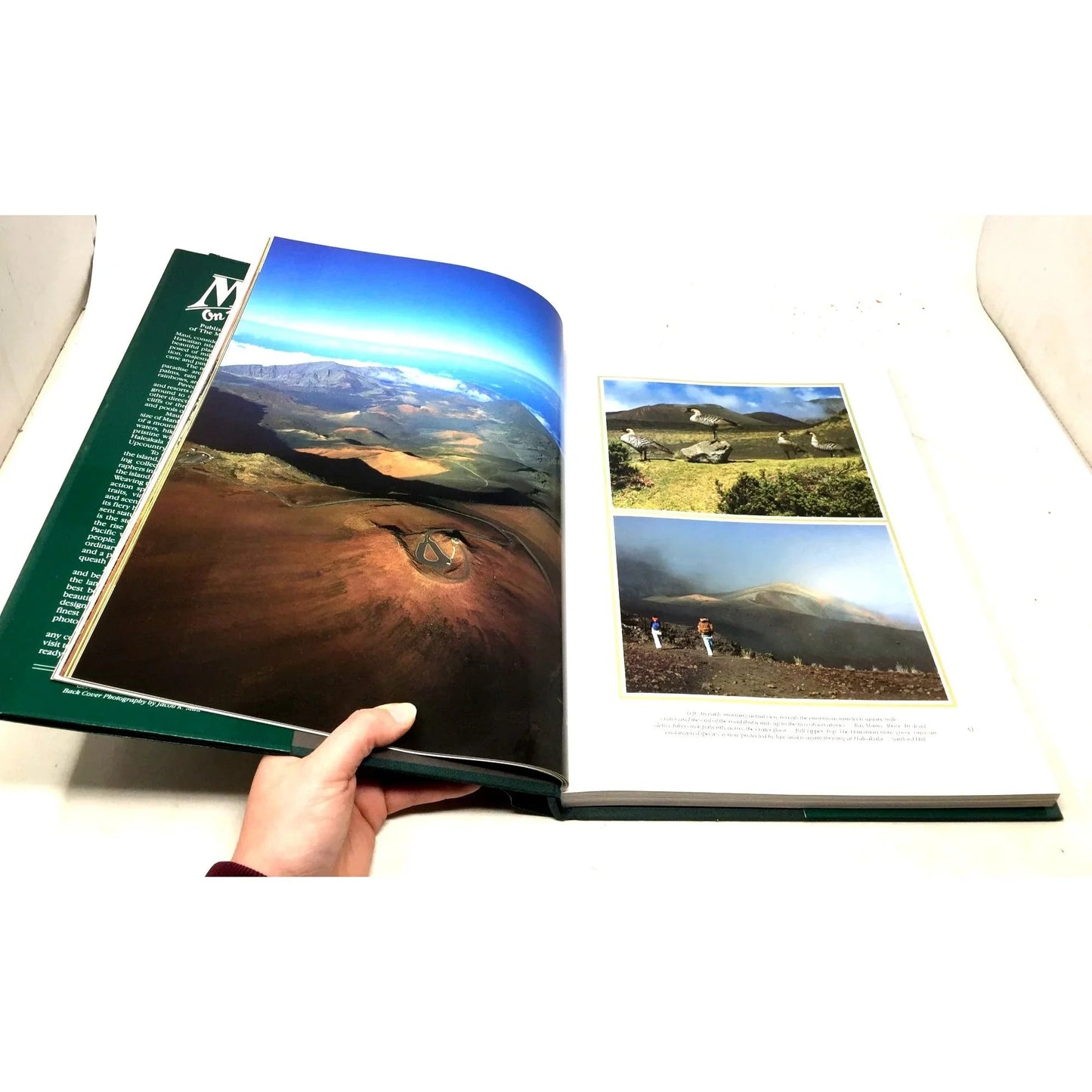 'Maui On My Mind' by Rita Ariyoshi - Rita Ariyoshi - A+ Stuff