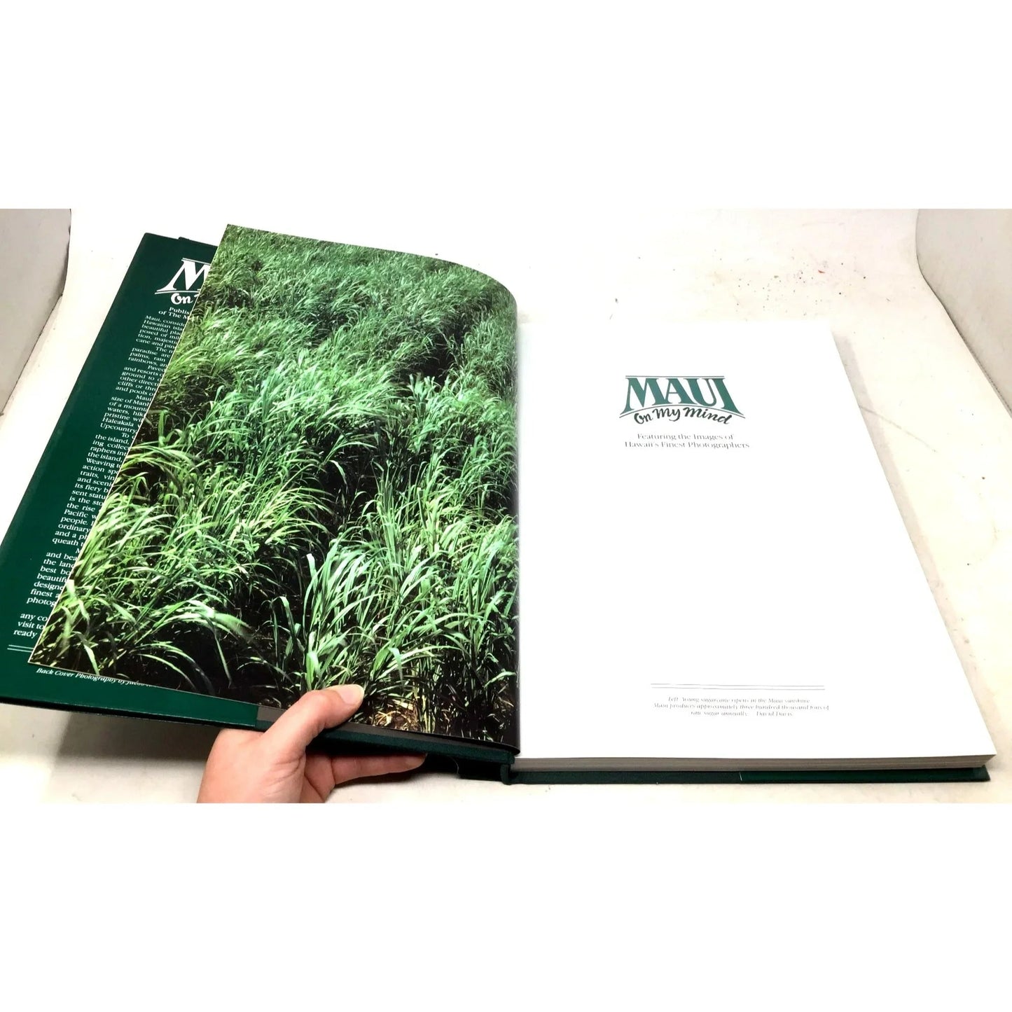 'Maui On My Mind' by Rita Ariyoshi - Rita Ariyoshi - A+ Stuff