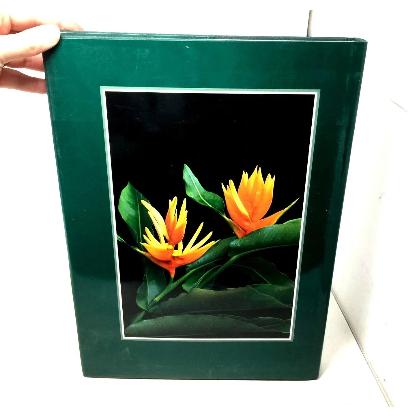 'Maui On My Mind' by Rita Ariyoshi - Rita Ariyoshi - A+ Stuff