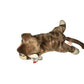 Vintage 1997 Pounce the Cat Beanie Baby TY Beanie Baby  A+ Stuff Plush Toys / Stuffed Animals