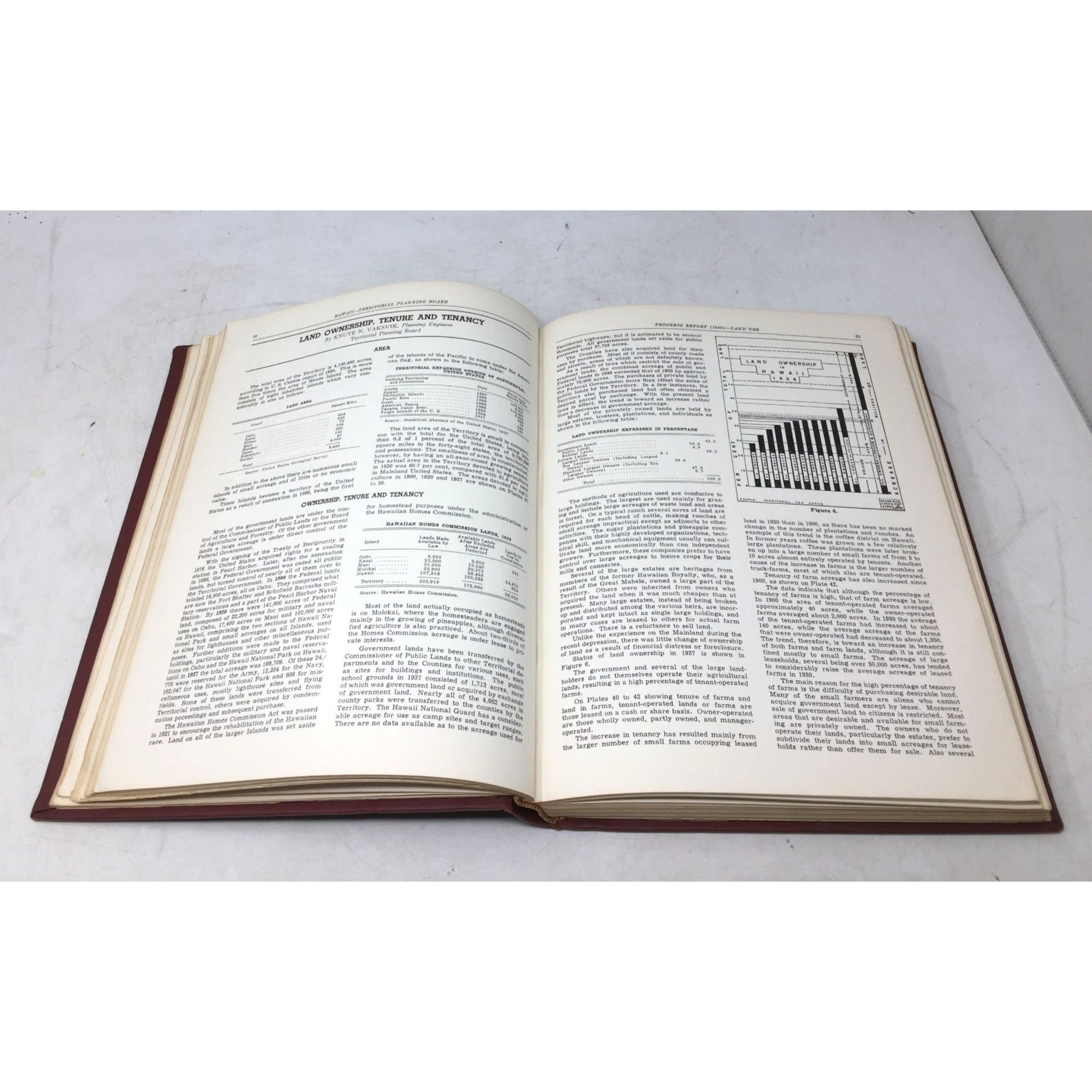 Vintage Copy of the Hawaii Territorial Planning Board First Progress Report Unbranded  A+ Stuff books