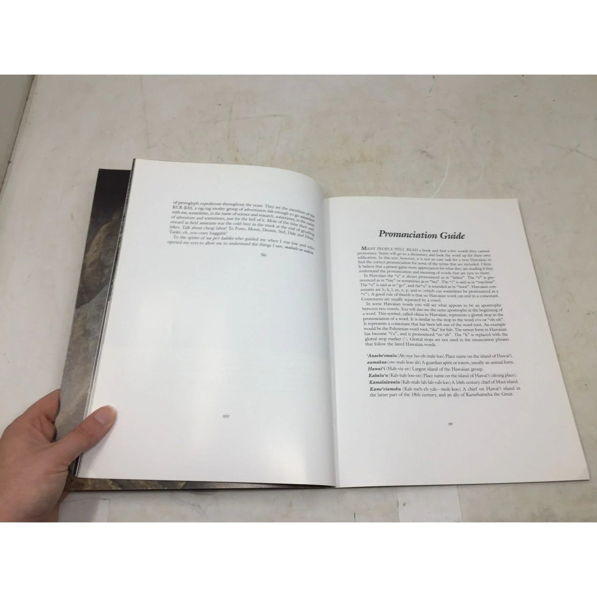 Na Ki'i Pohaku: A Hawaiian Petroglyph Primer by P.F. Kwiatkowski - A+ Stuff - Books - A+ Stuff