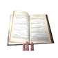Official U.S Government Report 'A Message From The President' 1881 - unbranded - Antique Books - A+ Stuff