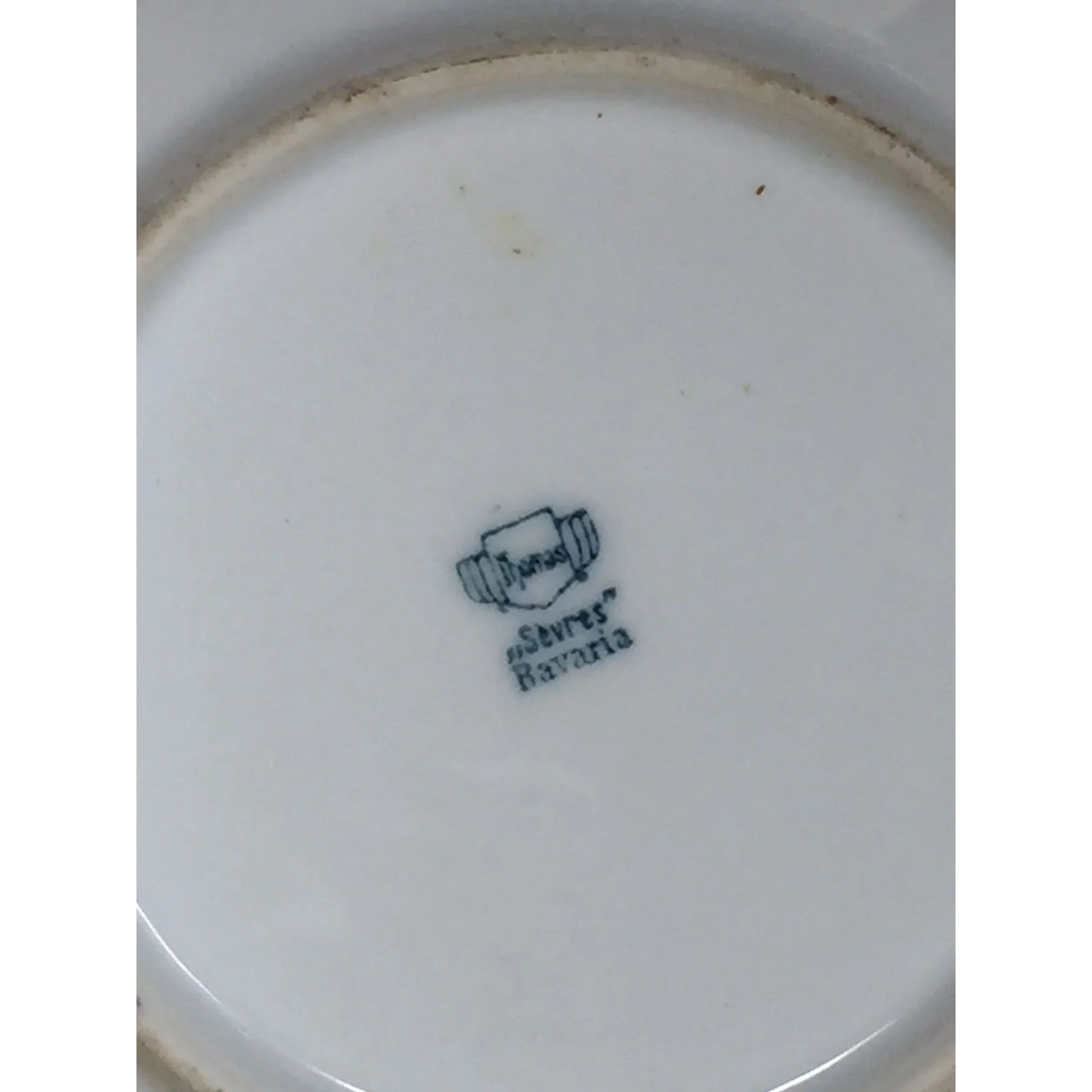 One Small "Serves Bavaria" Plate with Flowers Printed on it - A+ Stuff - Plates - A+ Stuff