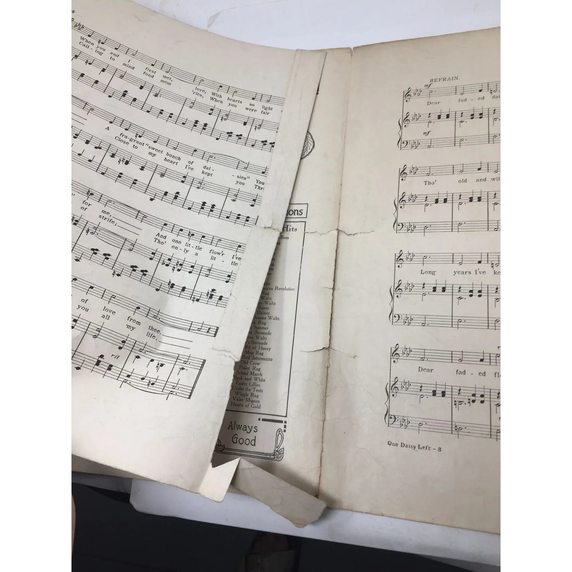 ''Only One Daisy Left'' Memories of ''Sweet Bunch of daisies'' by Anita Owen - A+ Stuff - Sheet Music - A+ Stuff