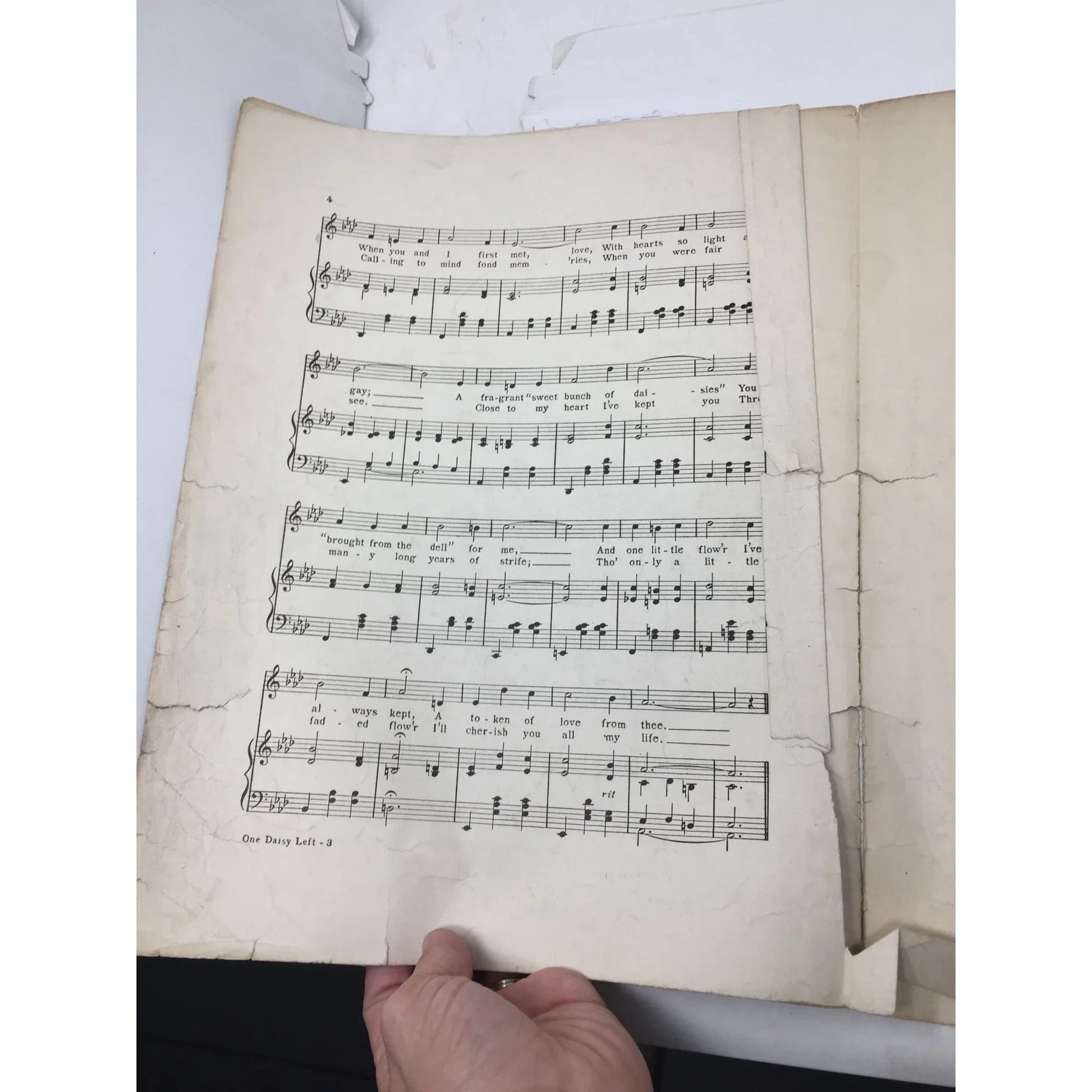 ''Only One Daisy Left'' Memories of ''Sweet Bunch of daisies'' by Anita Owen - A+ Stuff - Sheet Music - A+ Stuff