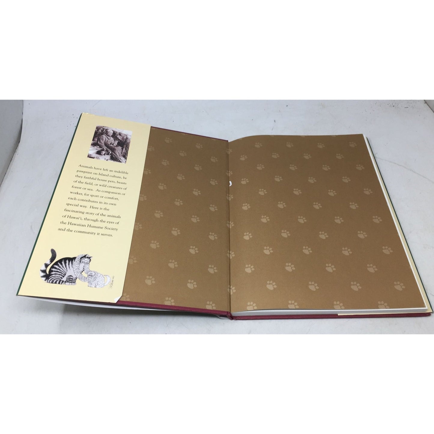 "Poi Dogs & Popoki: Animals and Pets in Hawaii" by George Engebretson. unbranded  A+ Stuff books