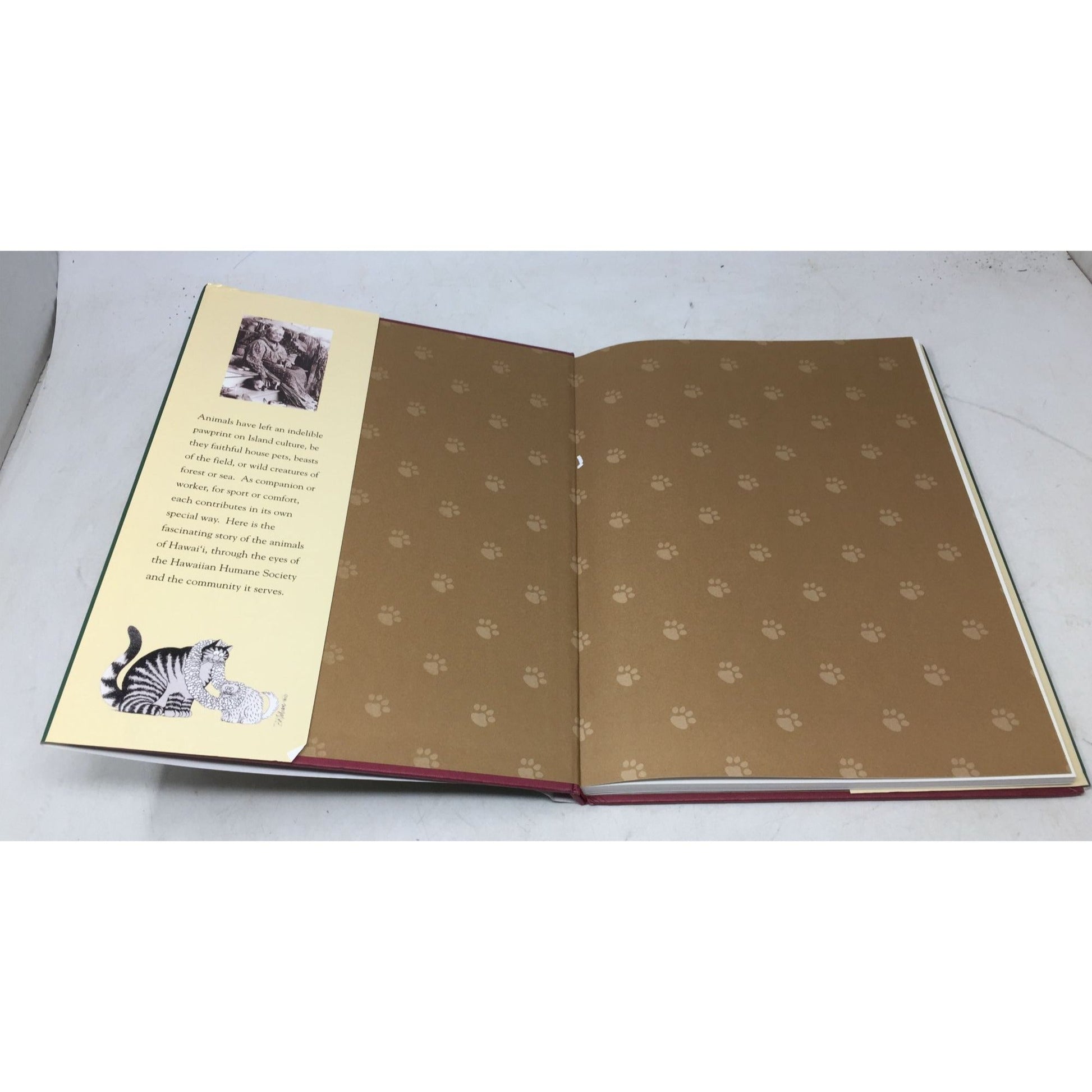 "Poi Dogs & Popoki: Animals and Pets in Hawaii" by George Engebretson. unbranded  A+ Stuff books