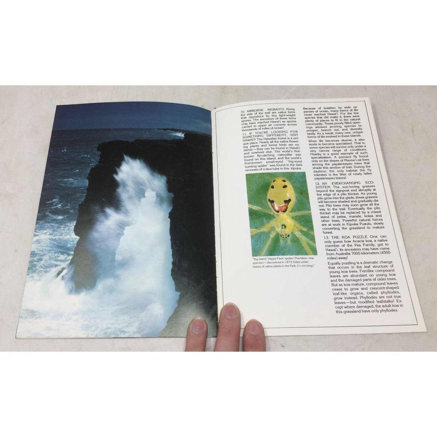 Kīpuka Puaulu Trail unbranded  A+ Stuff Vintage Books
