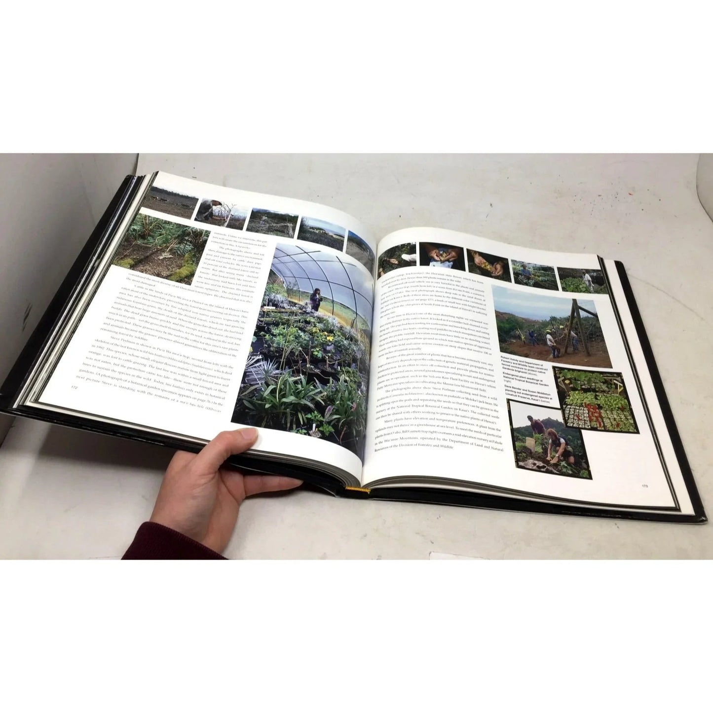 'Remains of a Rainbow: Rare Plants and Animals of Hawaii' by David Liittschwager and Susan Middleton - David Liittschwager and Susan Middleton - Vintage Books - A+ Stuff