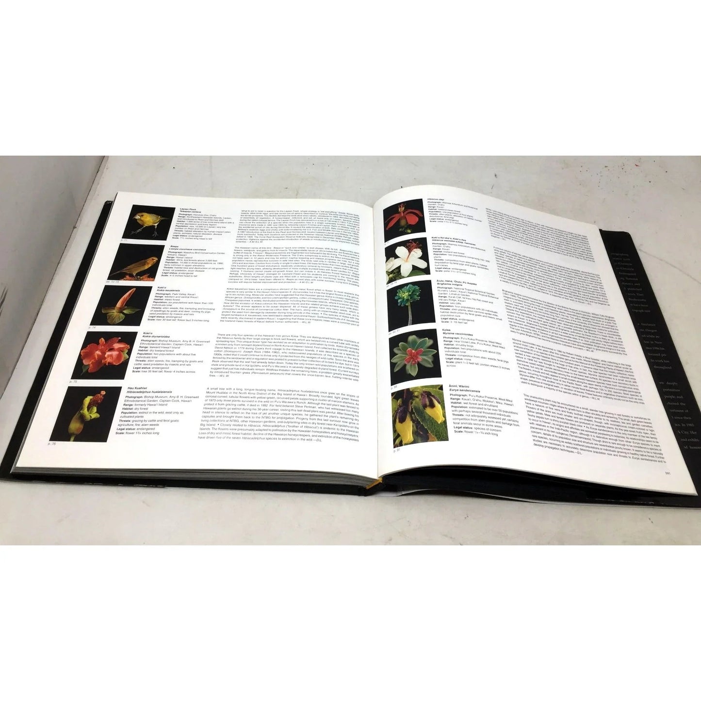 'Remains of a Rainbow: Rare Plants and Animals of Hawaii' by David Liittschwager and Susan Middleton - David Liittschwager and Susan Middleton - Vintage Books - A+ Stuff