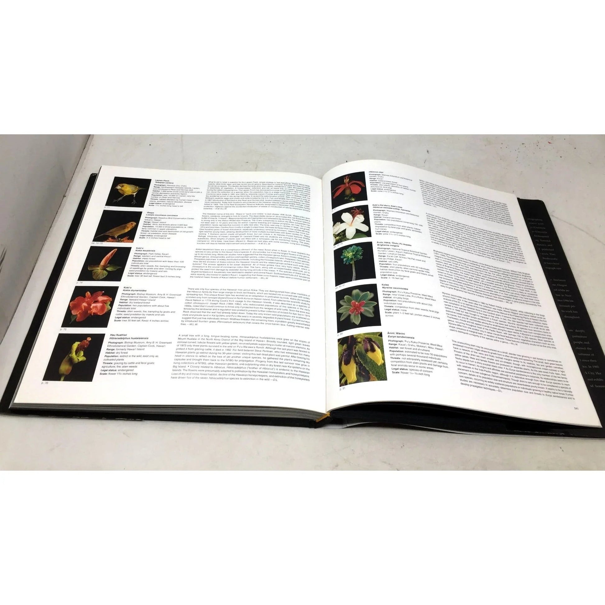 'Remains of a Rainbow: Rare Plants and Animals of Hawaii' by David Liittschwager and Susan Middleton - David Liittschwager and Susan Middleton - Vintage Books - A+ Stuff