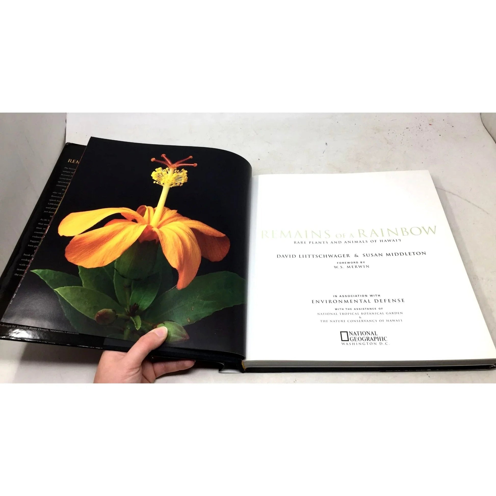 'Remains of a Rainbow: Rare Plants and Animals of Hawaii' by David Liittschwager and Susan Middleton - David Liittschwager and Susan Middleton - Vintage Books - A+ Stuff