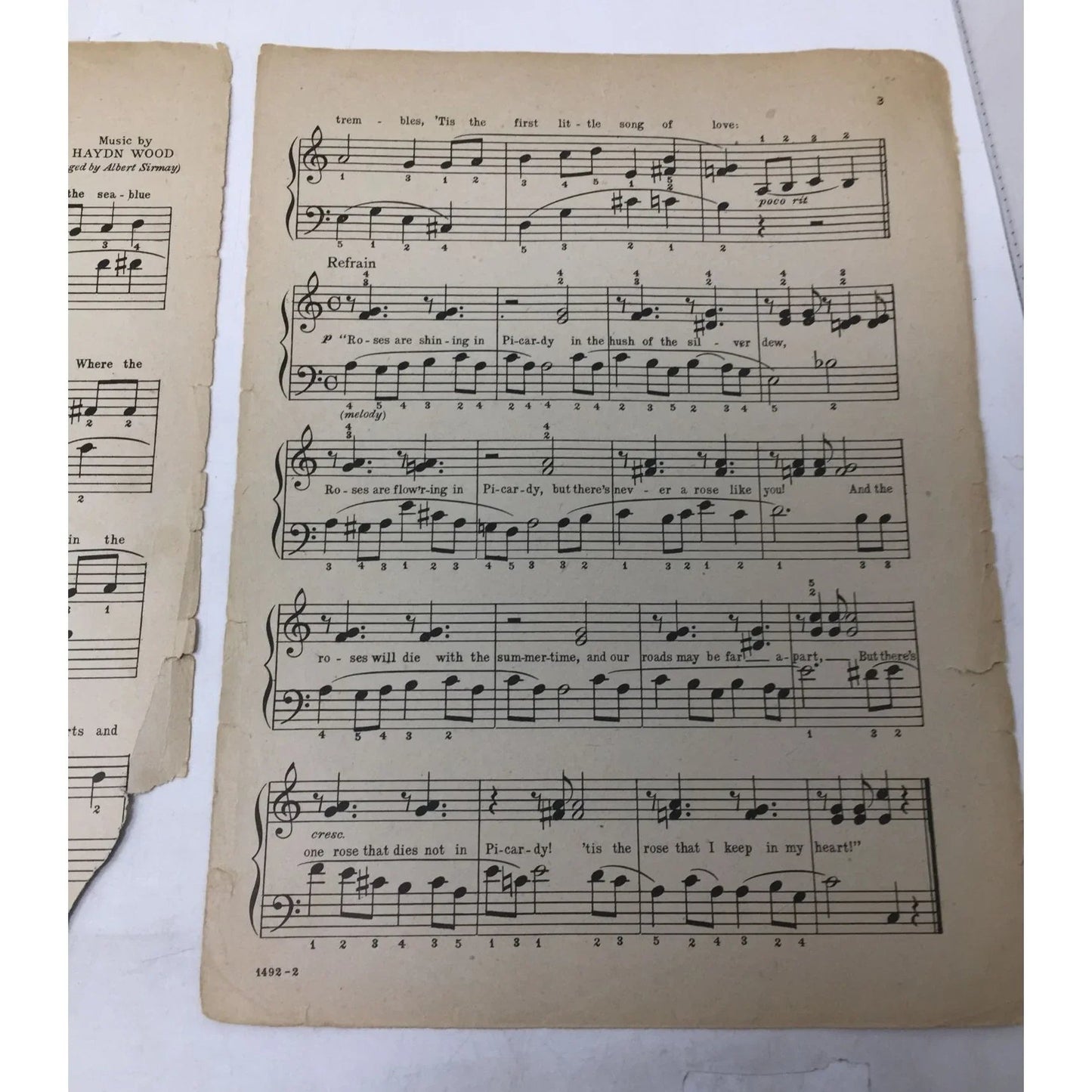 ''Roses Of Picardy'' by Hadyn Wood/Fred E Weatherly Vintage Sheet Music - A+ Stuff - sheet music - A+ Stuff