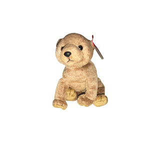 1999 Pecan the Bear Beanie Baby