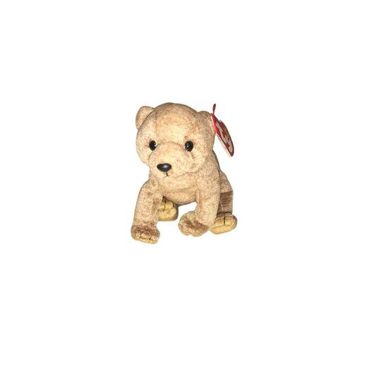 1999 Pecan the Bear Beanie Baby TY Beanie Baby  A+ Stuff Plush Toys / Stuffed Animals