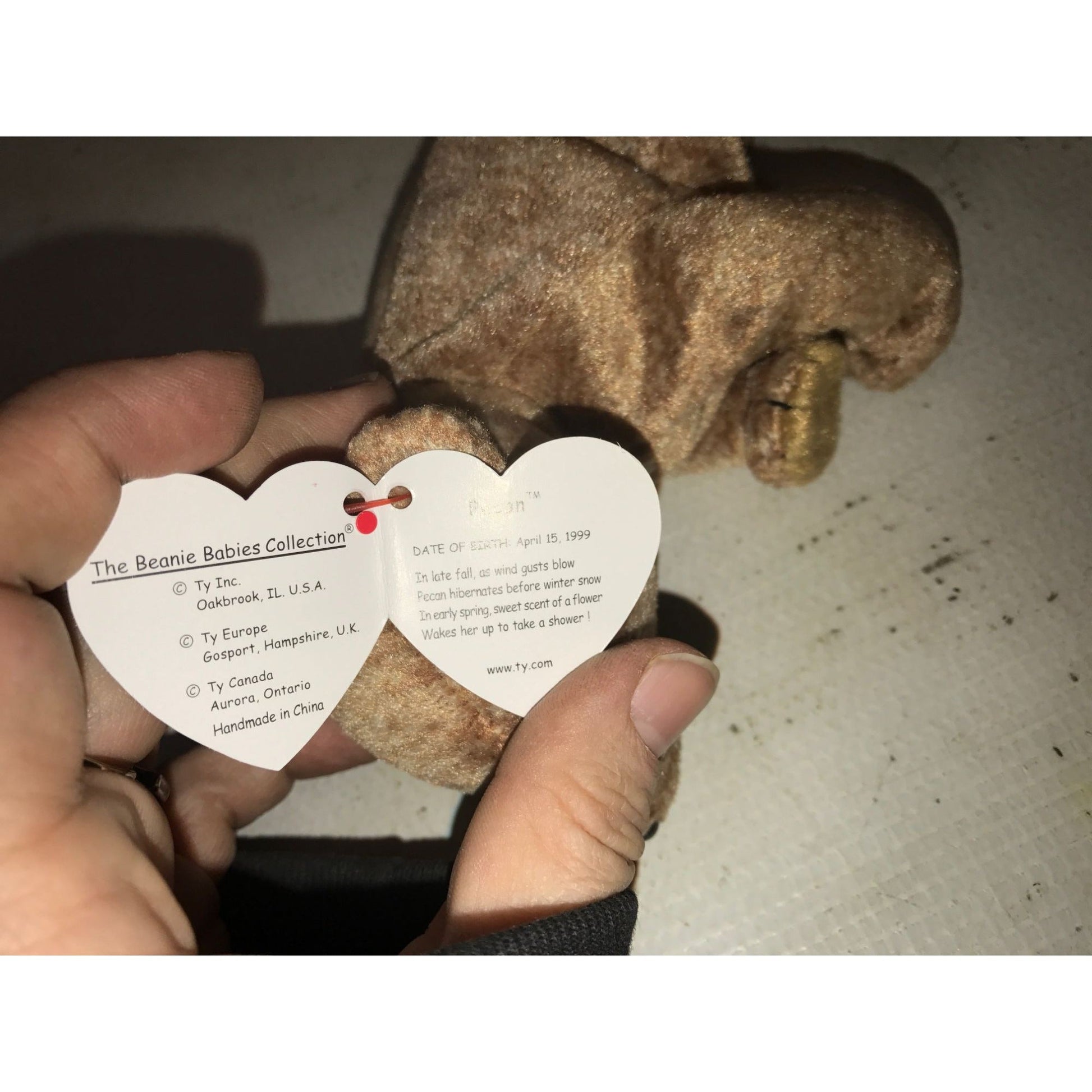 1999 Pecan the Bear Beanie Baby TY Beanie Baby  A+ Stuff Plush Toys / Stuffed Animals
