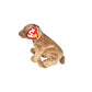1999 Pecan the Bear Beanie Baby TY Beanie Baby  A+ Stuff Plush Toys / Stuffed Animals