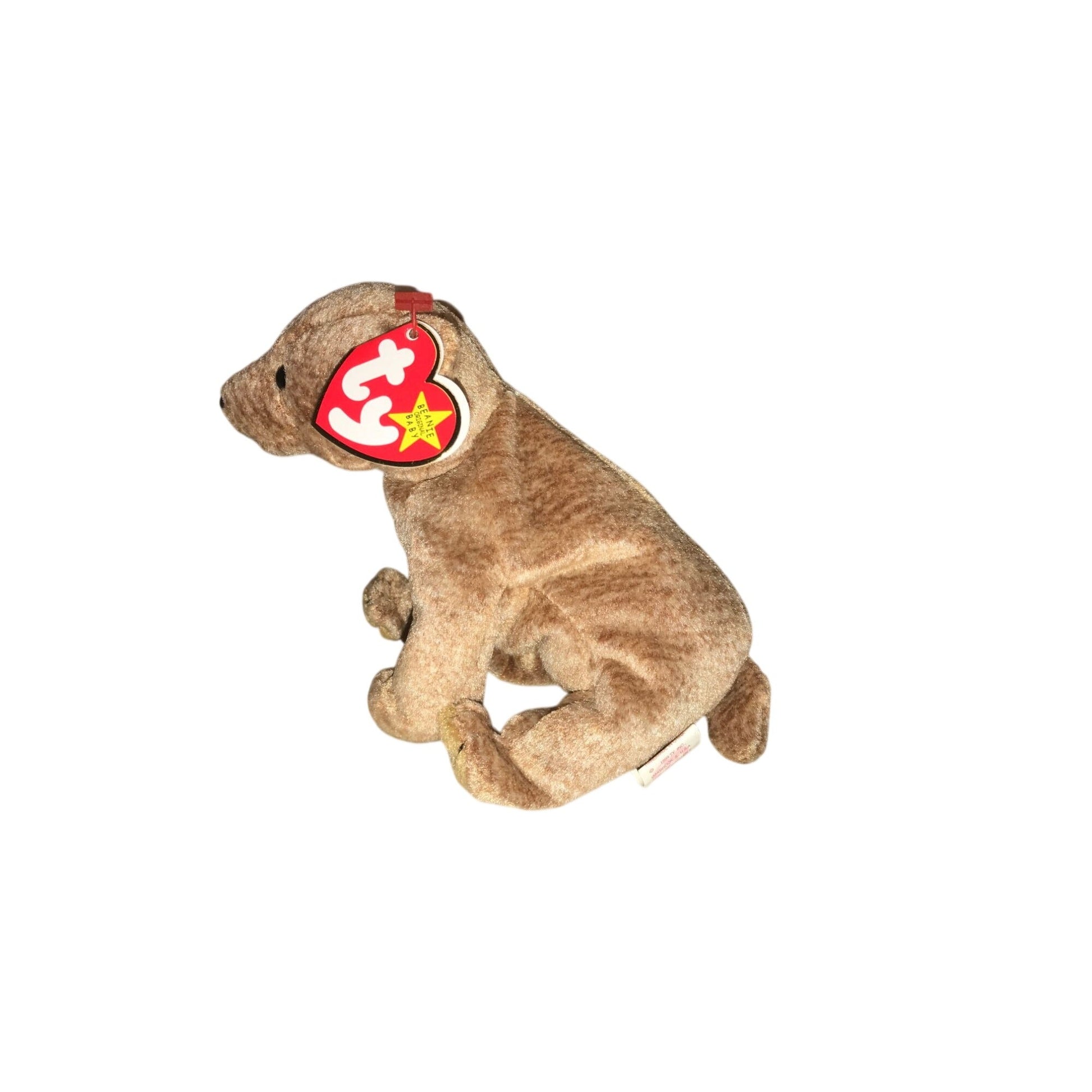 1999 Pecan the Bear Beanie Baby TY Beanie Baby  A+ Stuff Plush Toys / Stuffed Animals