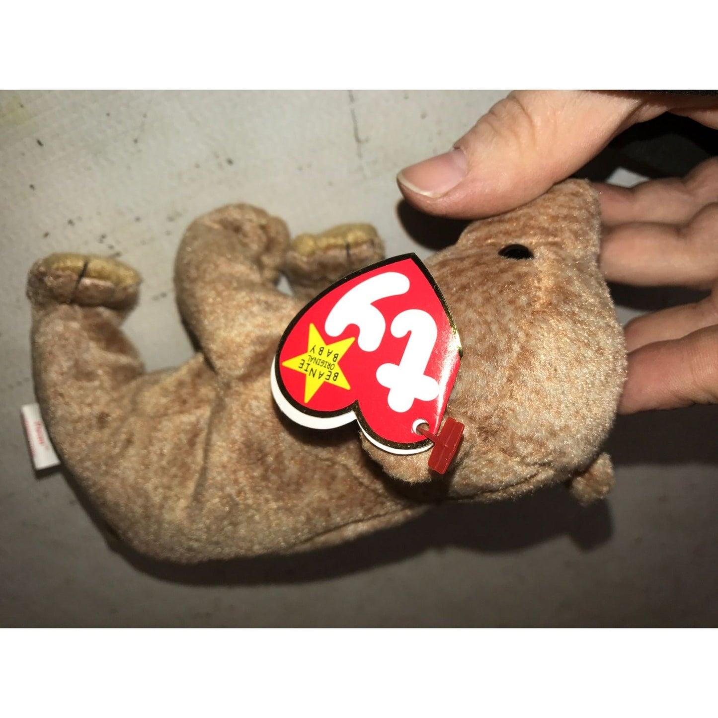 1999 Pecan the Bear Beanie Baby TY Beanie Baby  A+ Stuff Plush Toys / Stuffed Animals