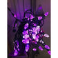 Set of 2 Corded Outdoor Christmas Holiday String Lights - A+ Stuff - Seasonal & Holiday Decorations - A+ Stuff