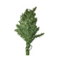 Set of 6 Colorful Pre Lit Artificial Christmas Trees - Red, Silver, Gold, Green, Purple, Blue - A+ Stuff - Seasonal & Holiday Decorations - A+ Stuff